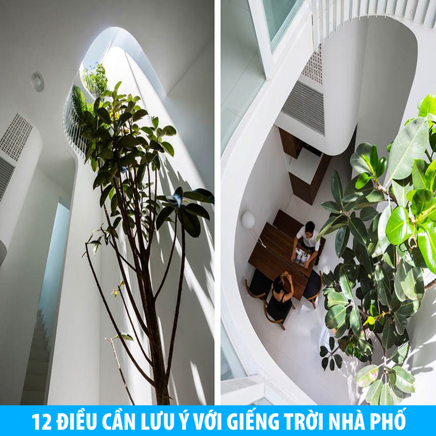 12 điều cần lưu ý khi thiết kế giếng trời nhà phố-2