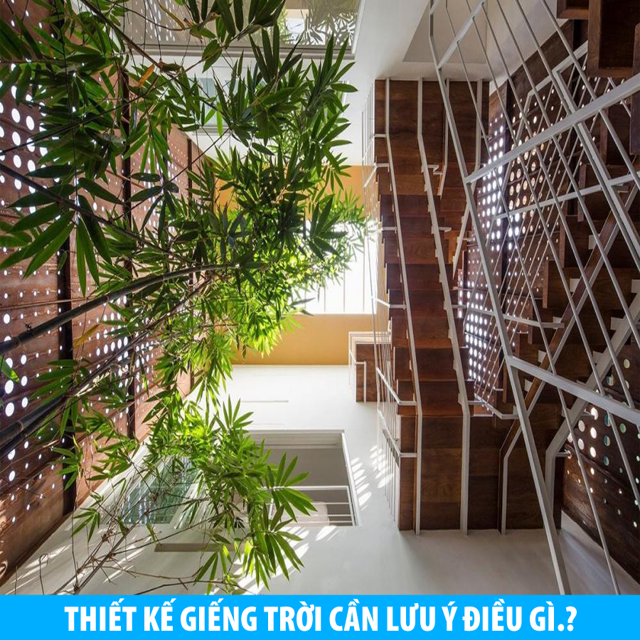 12 điều cần lưu ý khi thiết kế giếng trời nhà phố-3