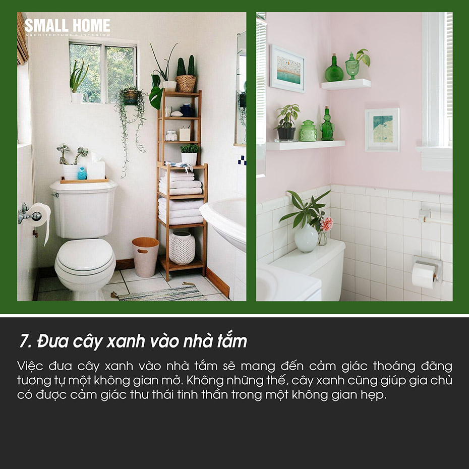đưa cây xanh vào nhà tắm
