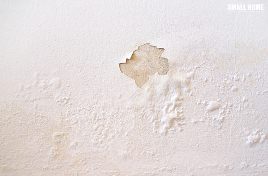 Màng sơn bị bong tróc