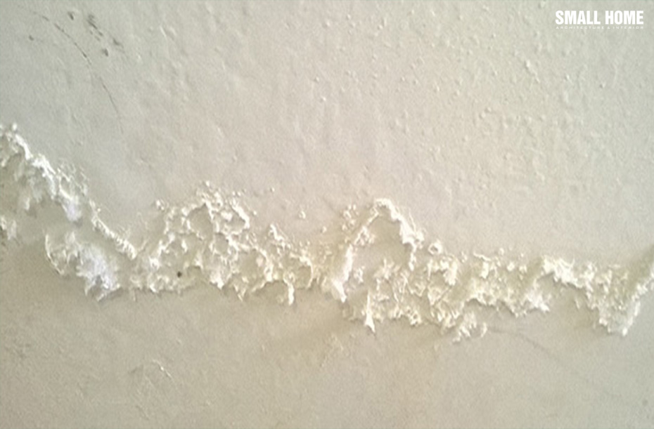 Màng sơn bị muối hóa