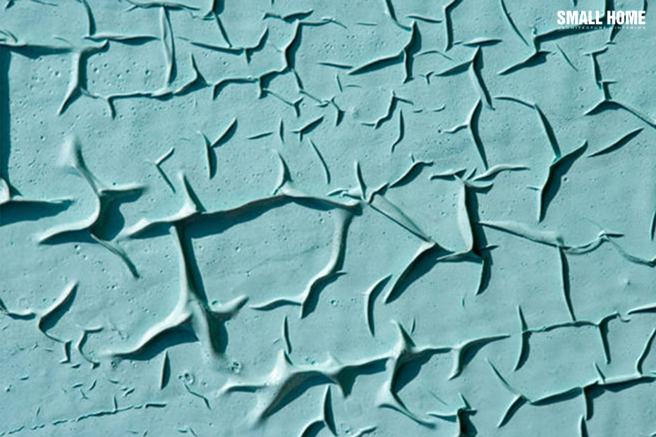 Màng sơn bị nhăn