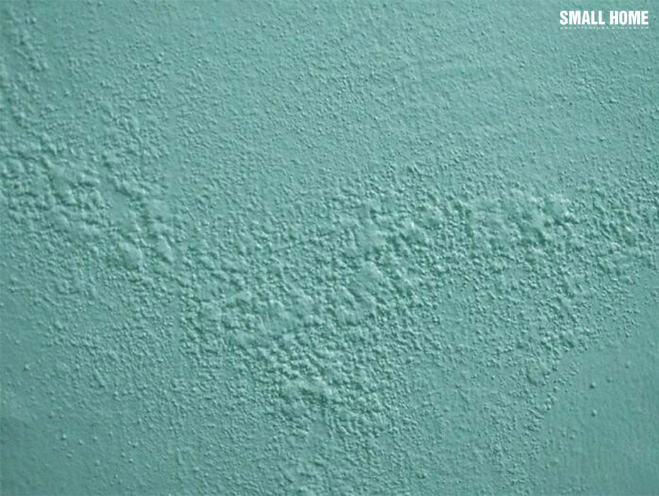 Màng sơn bị rỗ