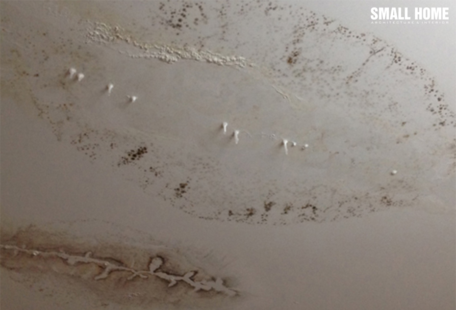 nguyên nhân thấm dột