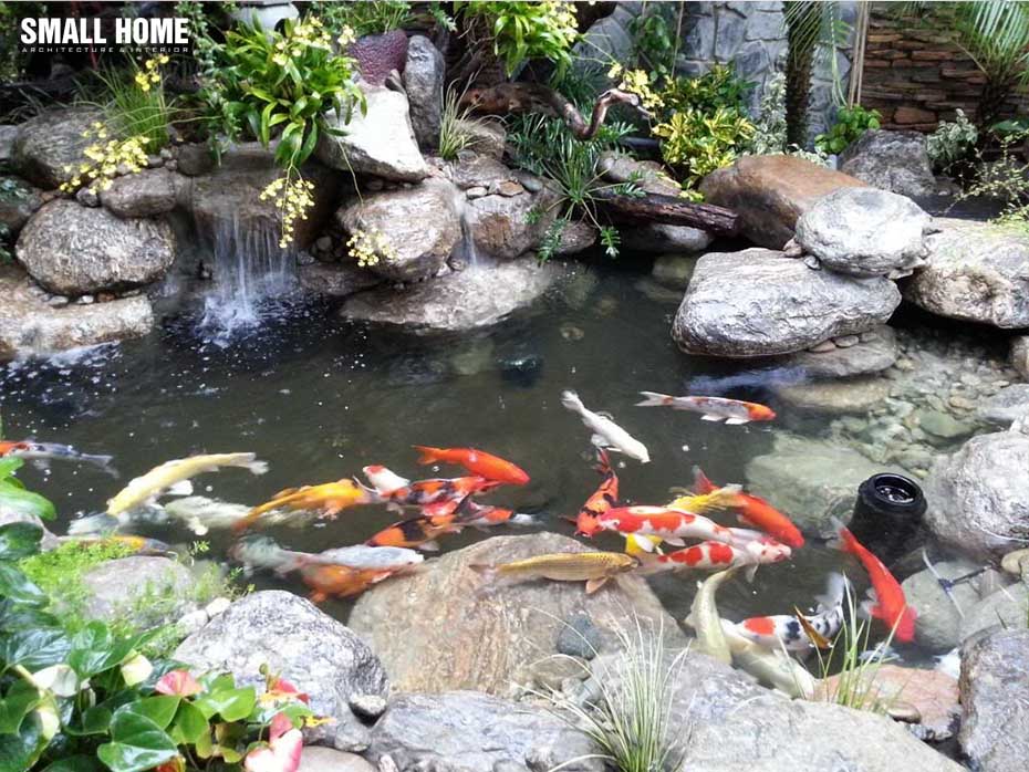 thác nước kết hợp bể cá