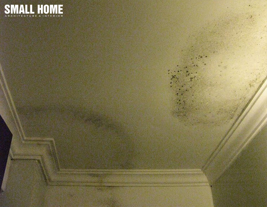 6-cach-Chong-tham-tran-nha-be-tong