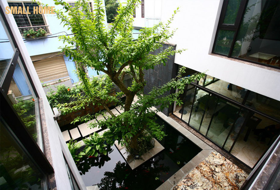 Nhiều không gian xanh và cây xanh trong gia đình
