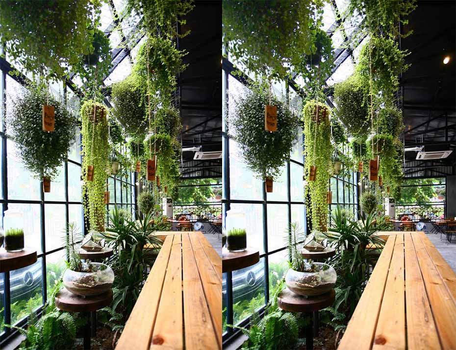 thiet-ke-noi-that-quan-cafe-cay-tai-van-bao-hn