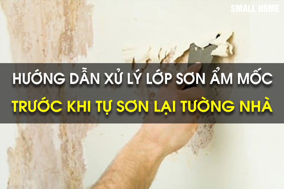 Hướng Dẫn Cách Xử Lý Lớp Sơn Ẩm Mốc Trước Khi Tự Sơn Lại Tường Nhà