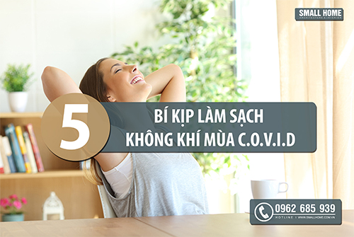 Cách làm sạch không khí trong nhà