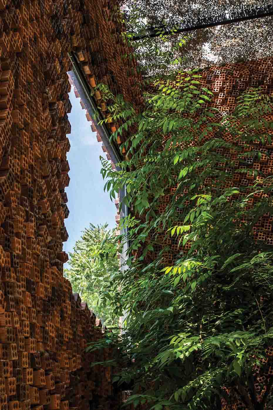 Để được gần hơn với thiên nhiên-9