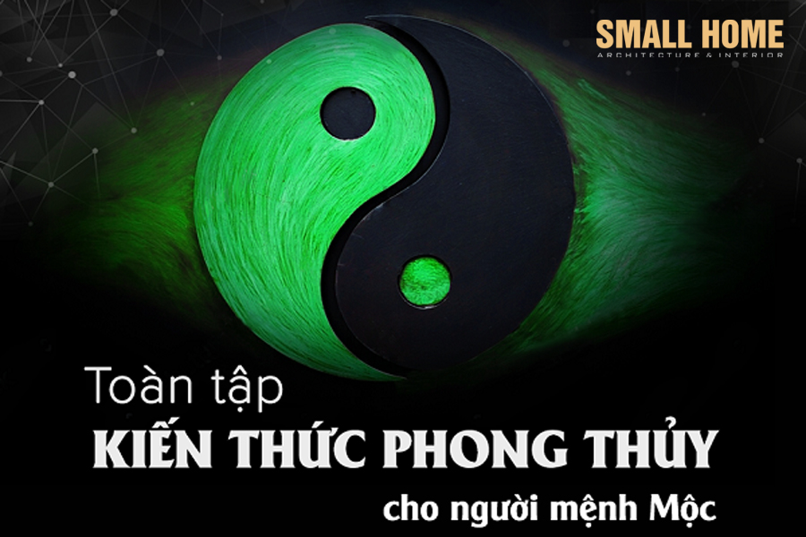 Tổng hợp kiến thức hữu ích về phong thủy cho người mệnh Mộc