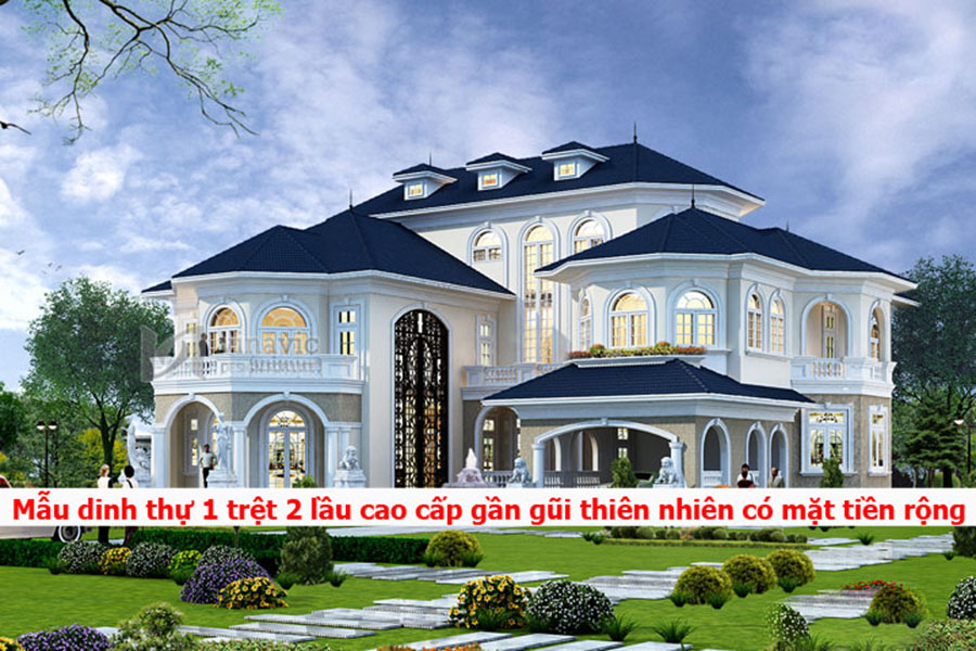 mau-dinh-thu-1-tret-1-lau-cao-cap-co-mat-tien-rong-1
