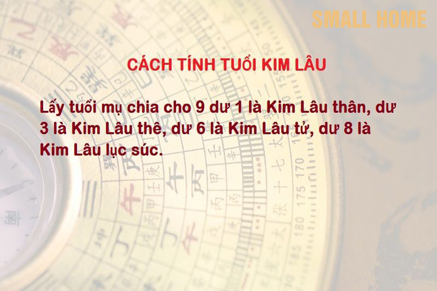 nen-muon-tuoi-lam-nha-khong