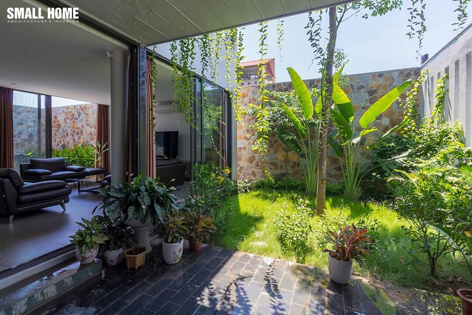 Trồng vườn trong nhà là xu thế mang đến không gian sống xanh nhưng vườn không được chăm lo đầy đủ sẽ chỉ mang lại muỗi và côn trùng